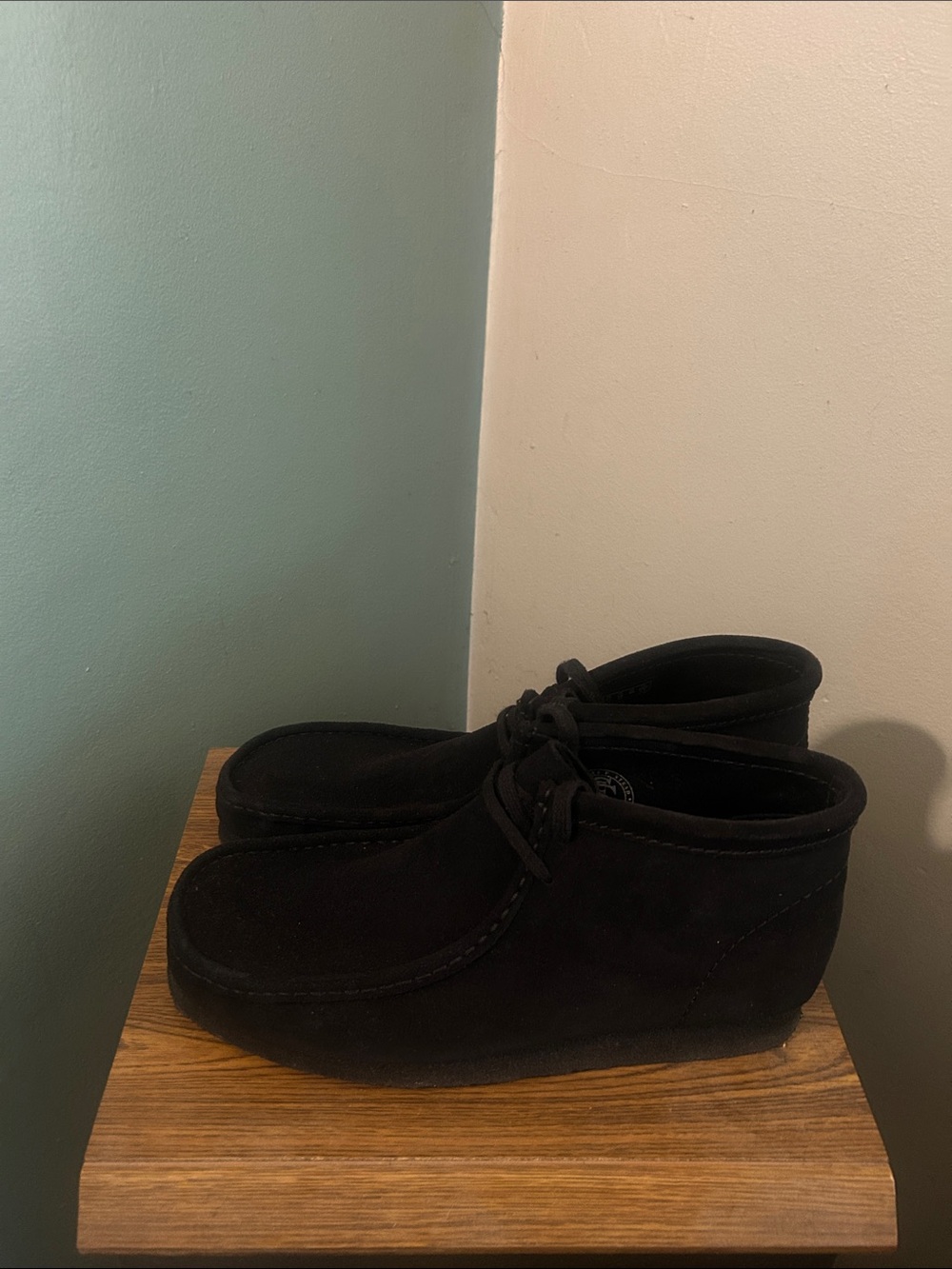 Clarks wallaby - Picture 4 of 5